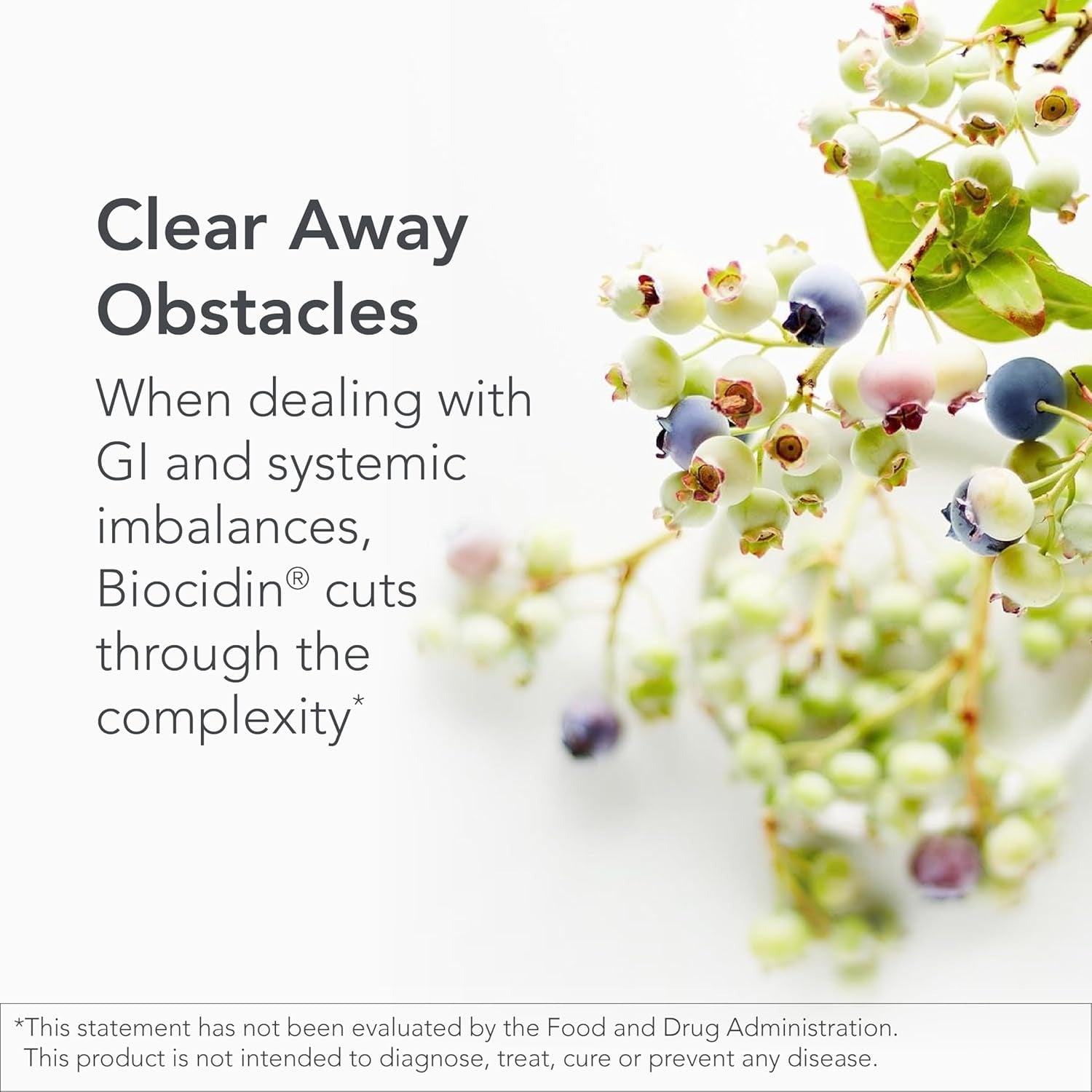 SuperMart Biocidin Capsules - Biofilm Disruptor - Supports Gut Detox Cleanse, Healthy Microbial Balance, Immune Function & Gut Health 90 Capsule