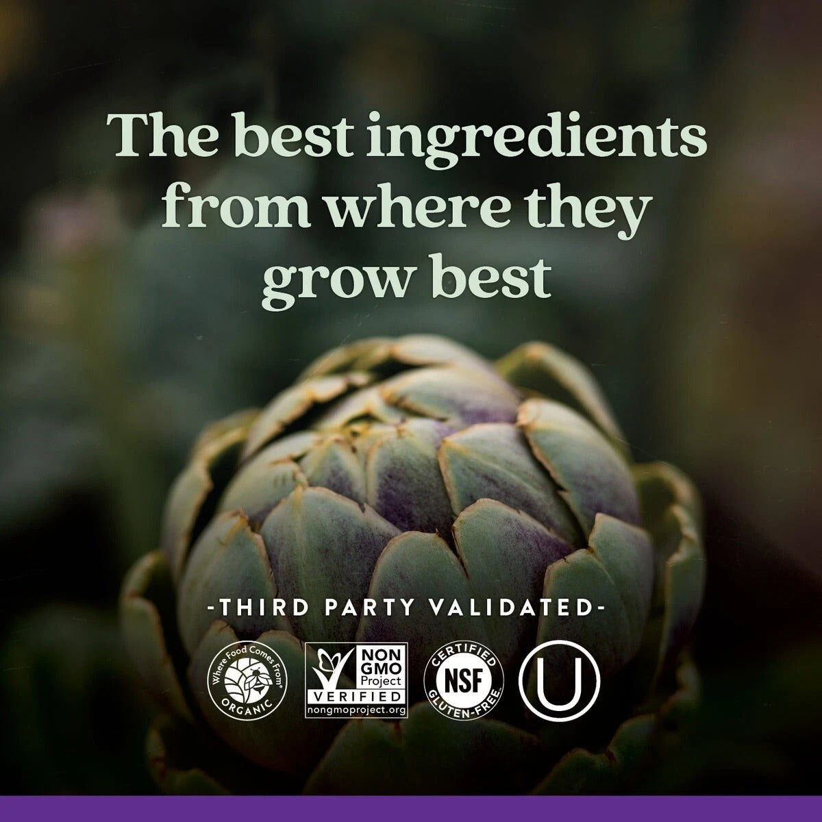 SuperMart New Chapter Every Man's One Daily 55+ Multivitamin Tablets - 48 Count